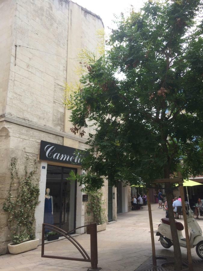 Nostradamus Διαμέρισμα Saint-Rémy-de-Provence Εξωτερικό φωτογραφία